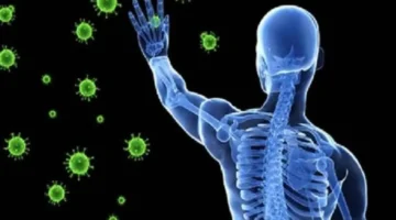 دعم مخزون الحديد في الجسم يحمي من 5 أزمات صحية ويعزز المناعة ونمو الدماغ 1